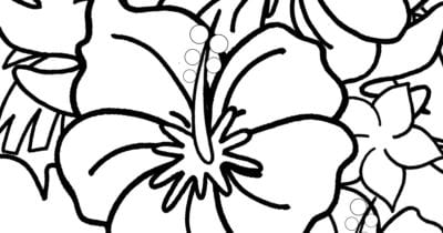 feature hibiscus coloring page