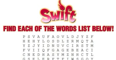 feature swift beach bird word search