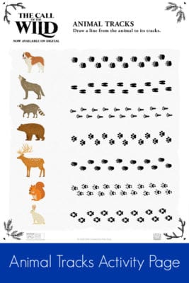 Free Printable Animal Tracks Activity Page | Mama Likes This