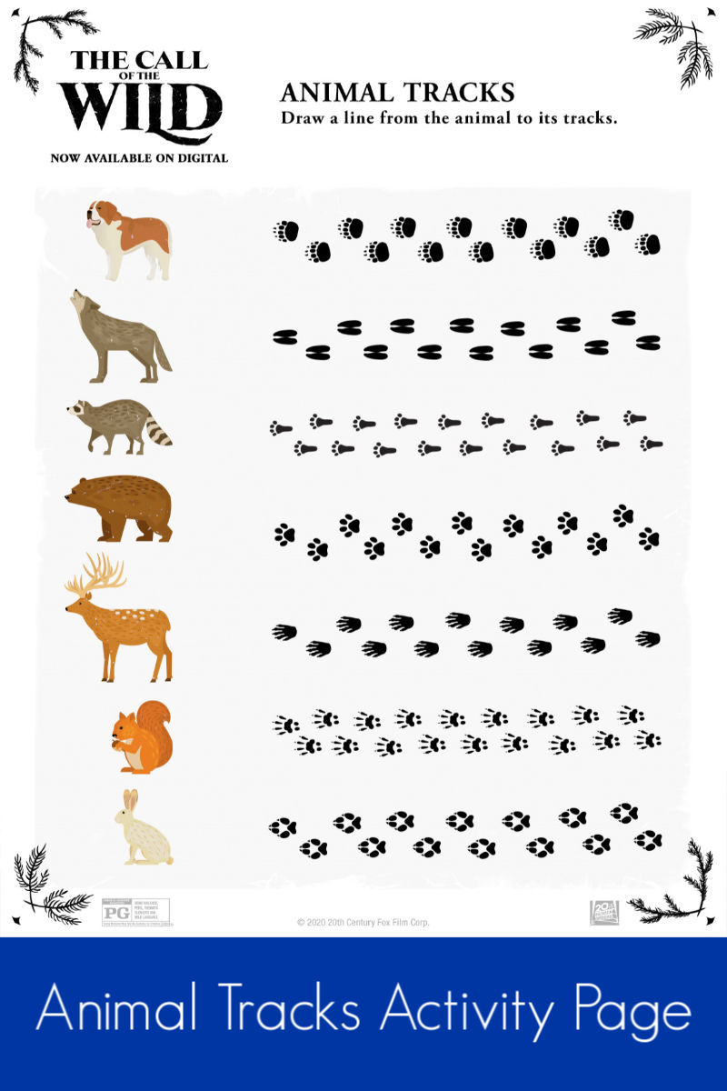 Free Printable Animal Tracks Activity Page #callofthewild #animaltracks