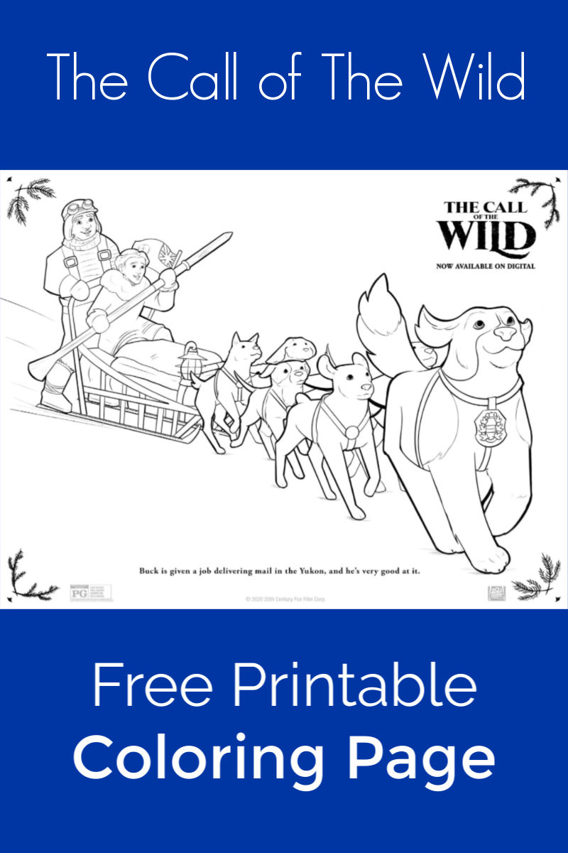 dog sledding coloring pages