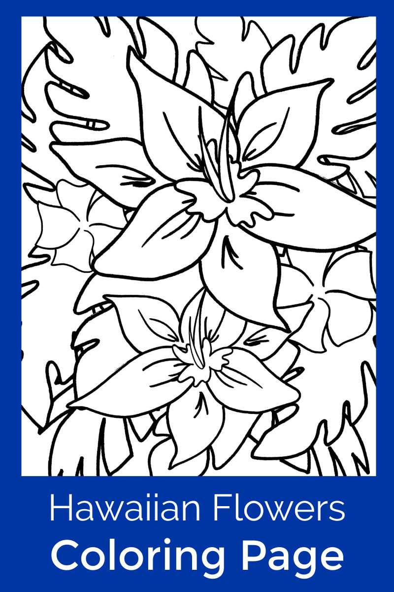 Free Printable Hawaiian Tropical Flowers Coloring Page #FreePrintable #Flowers #ColoringPage #HawaiianFlowers #HawaiianColoringPage #TropicalColoringPage