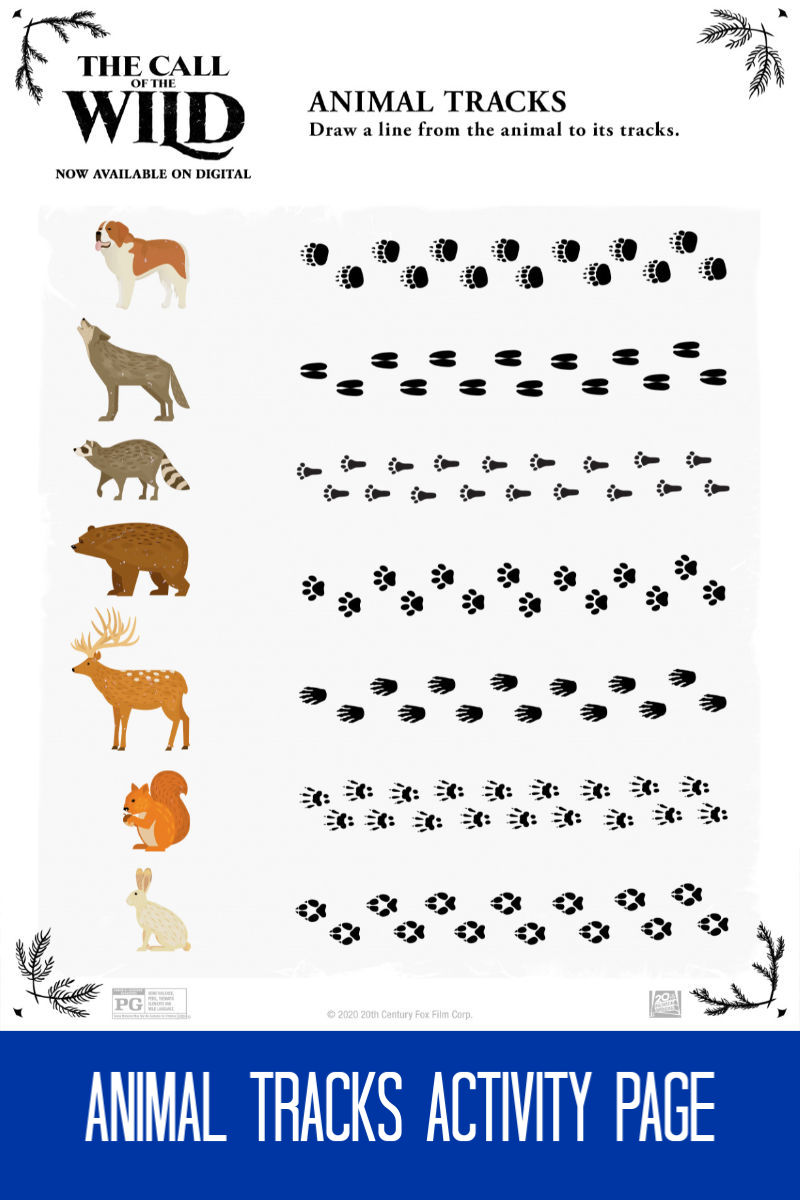 Free Printable Animal Tracks Activity Page #callofthewild #animaltracks