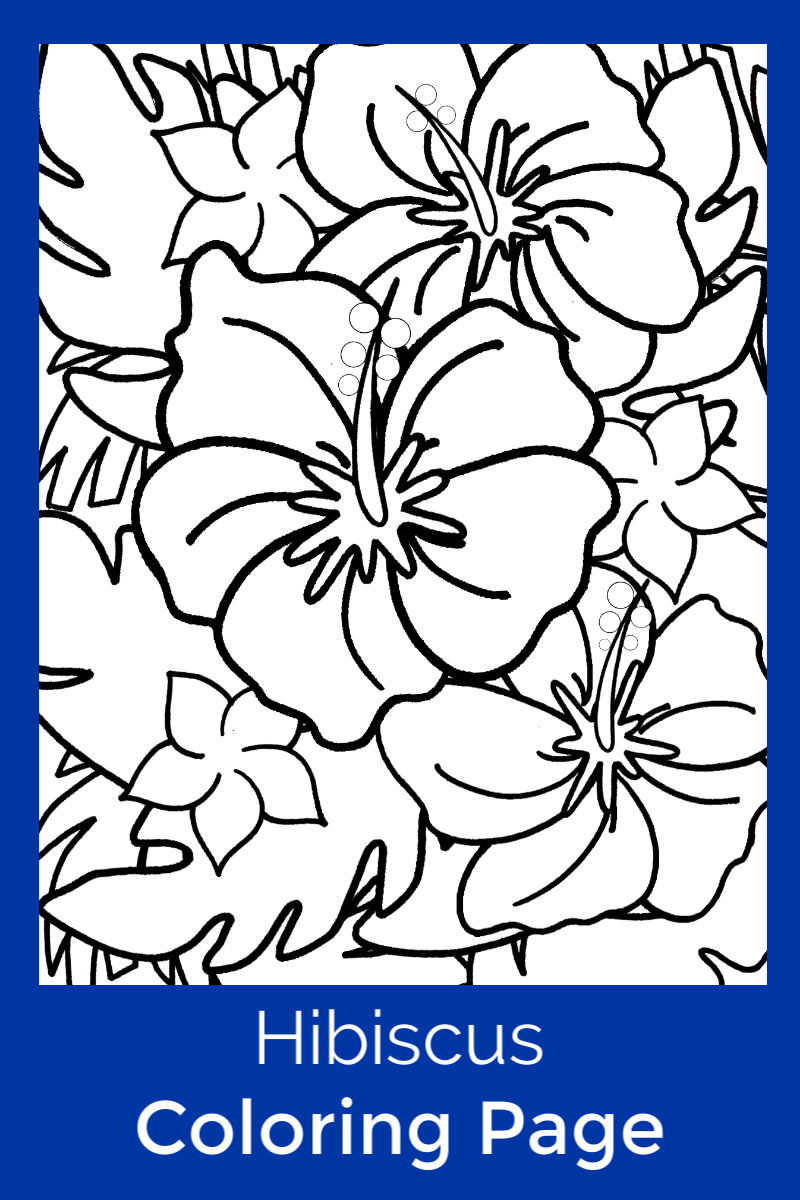 hibiscus colouring page