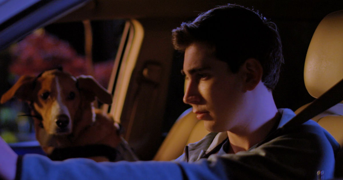 dog and young man in car