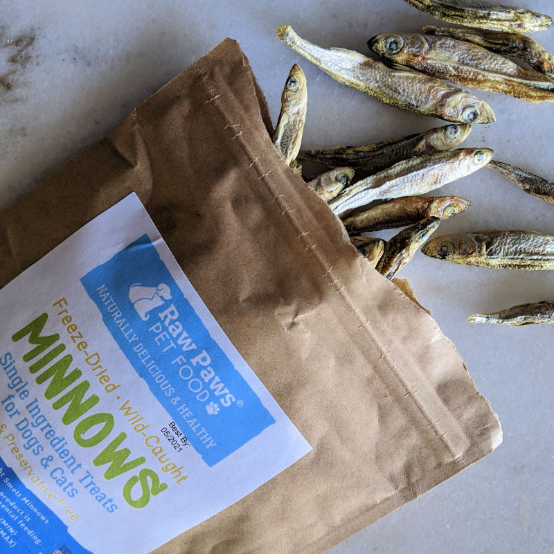 minnow fish treats for cats and dogs