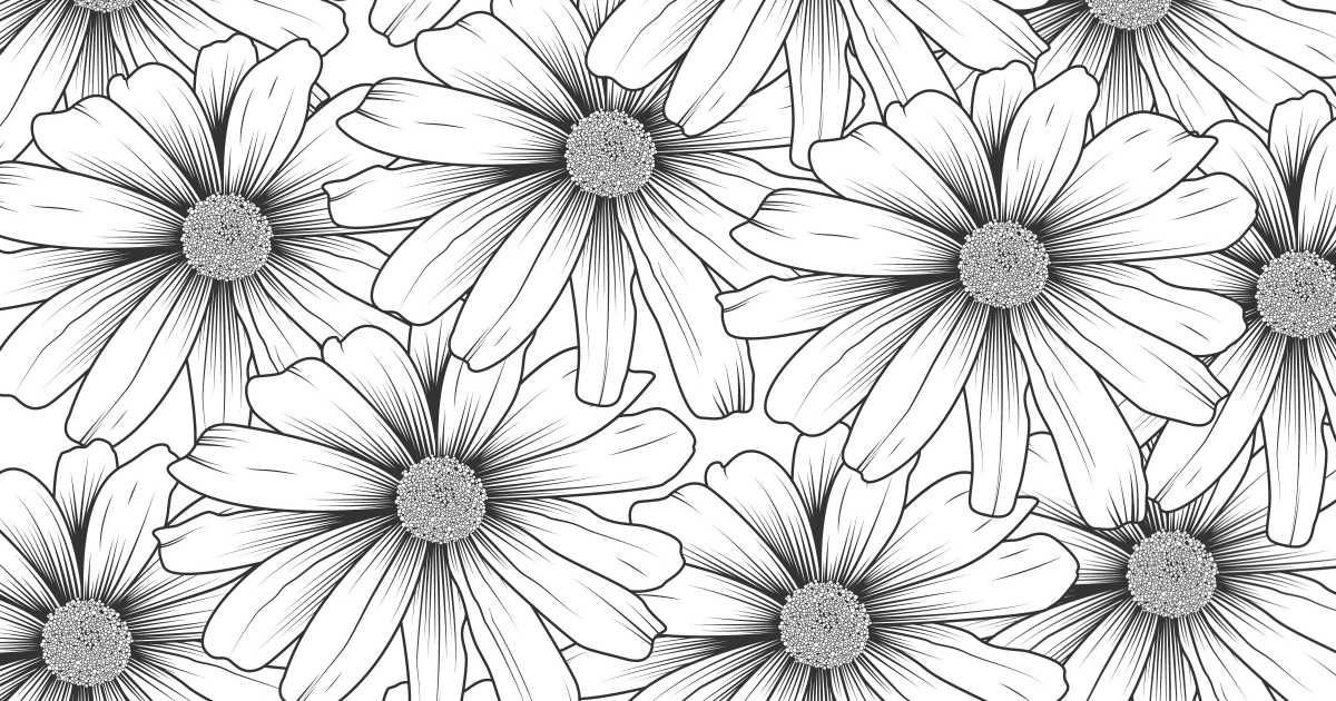 feature daisy coloring page