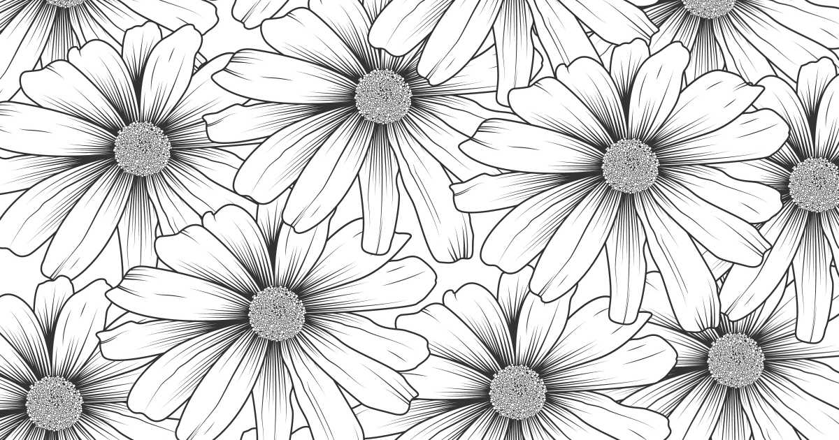 daisy flower garden coloring page