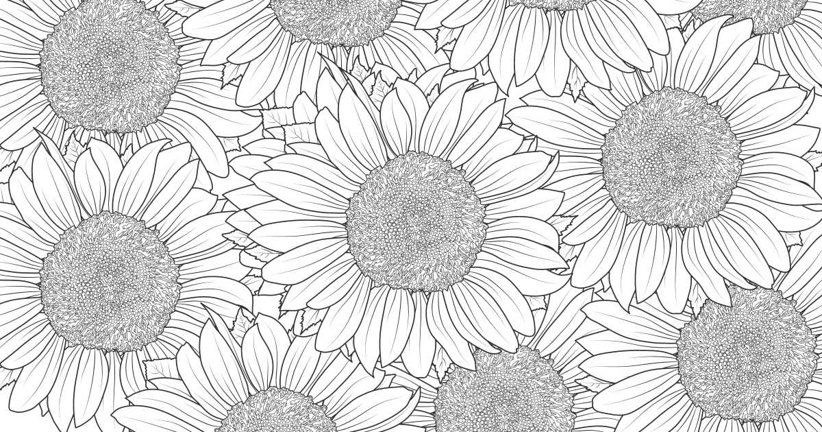 sunflowers coloring pages for adults