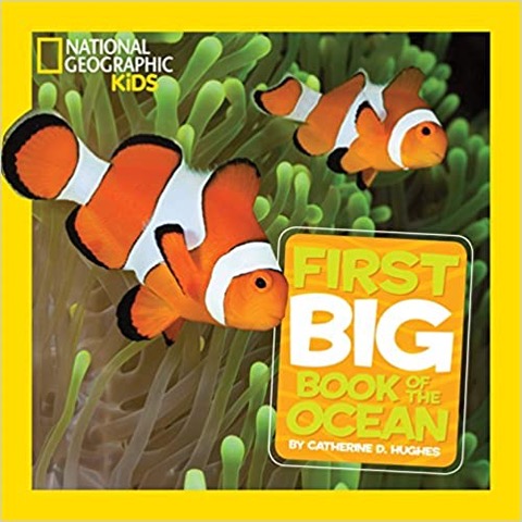 nat geo big book of the ocean