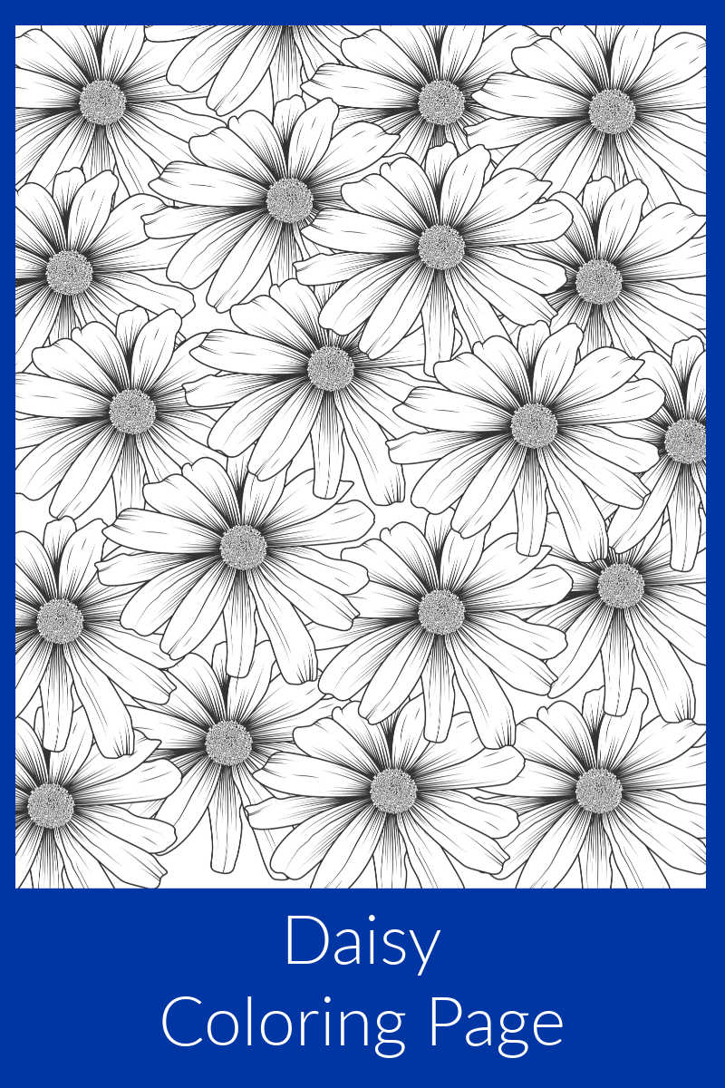 daisy flower garden coloring page