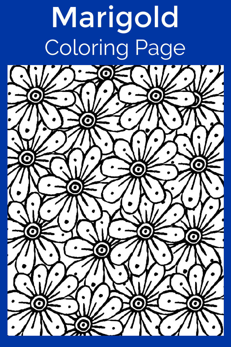 Marigold Coloring Page #DayofTheDead #FreePrintable