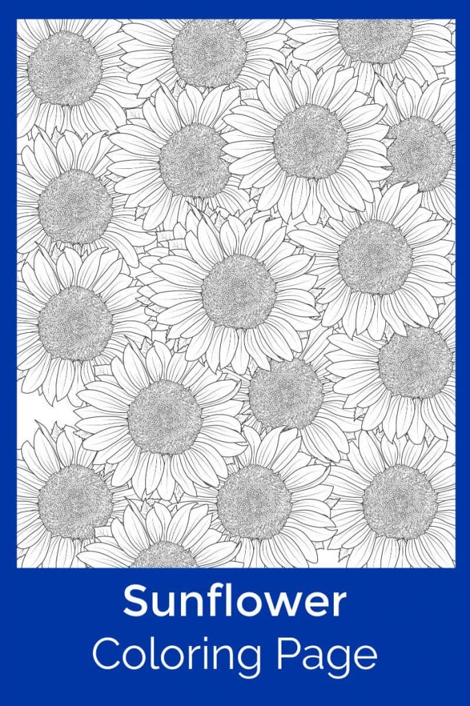 Free Printable Sunflower Coloring Page | Mama Likes This