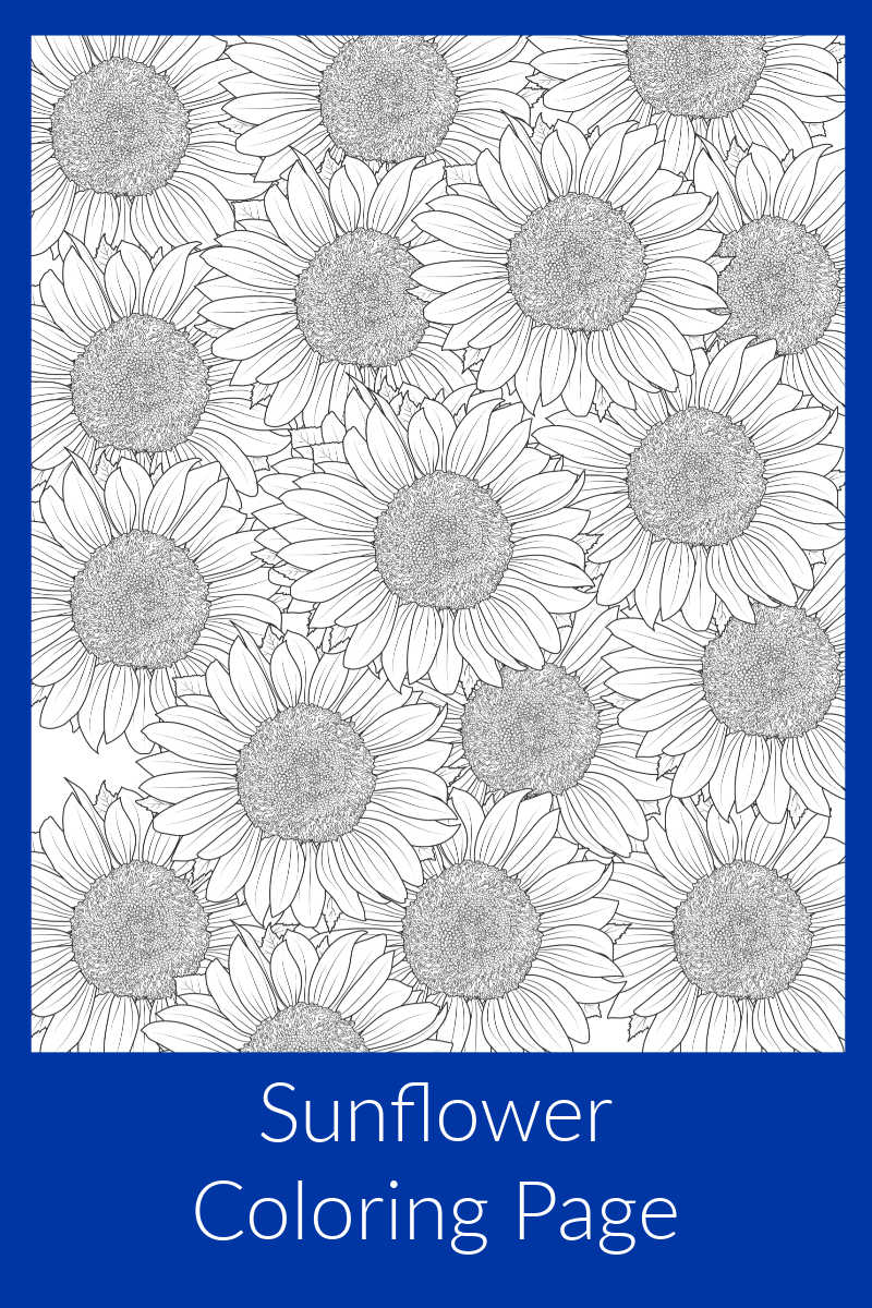 Free Printable Sunflower Coloring Page #FreePrintable #Sunflowers #Sunflower #FlowerColoringPage