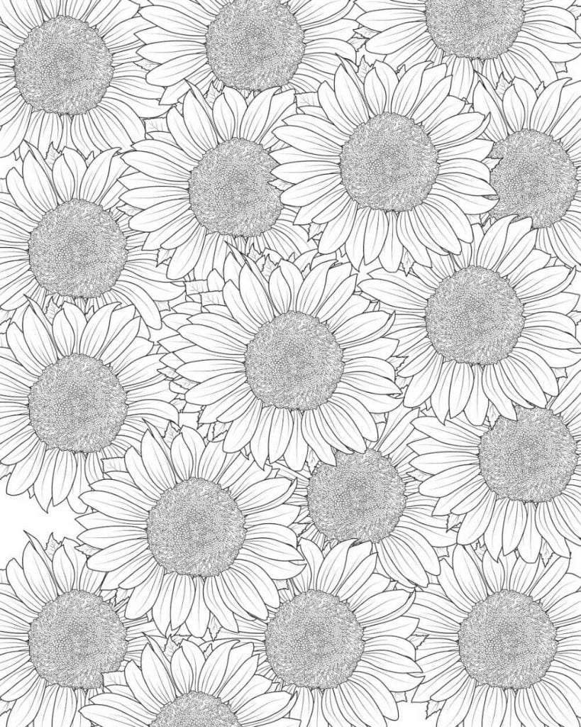 Free Printable Sunflower Coloring Page | Mama Likes This