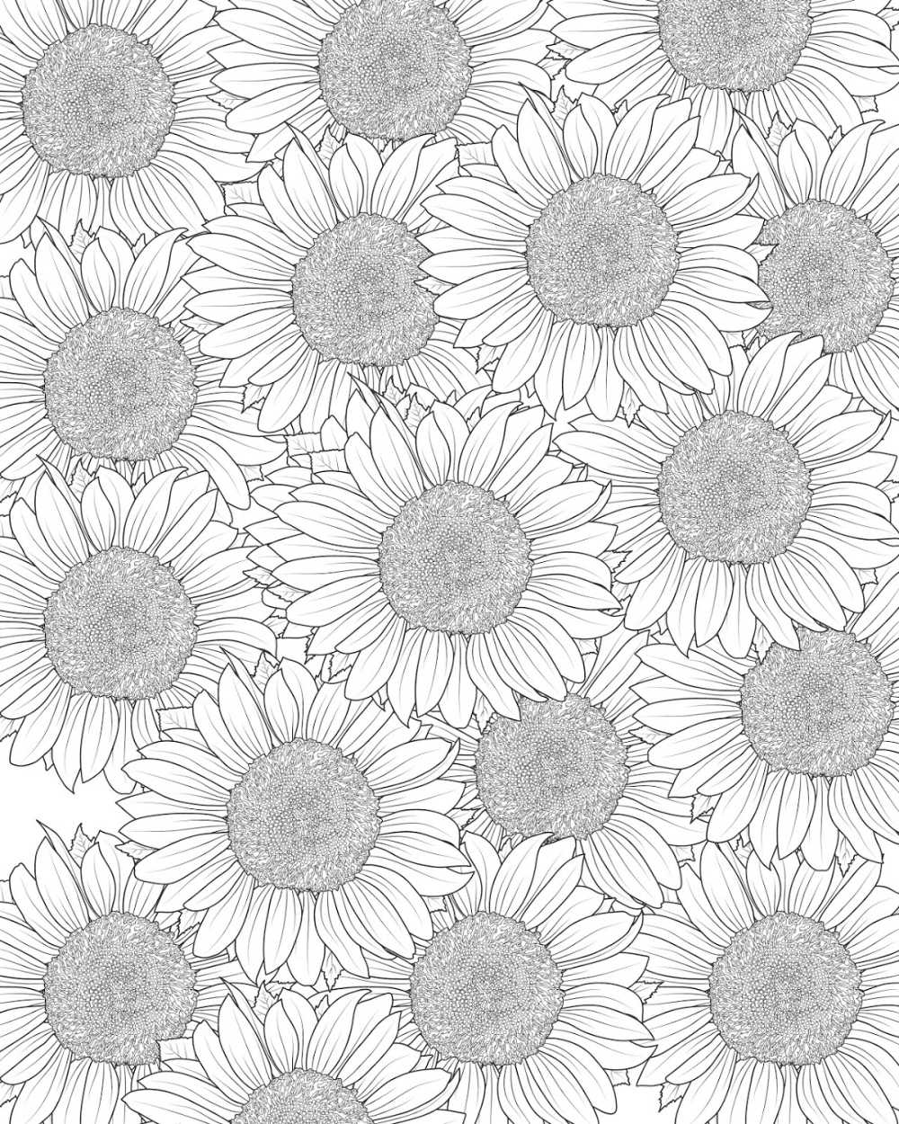 sunflower coloring pages for adults