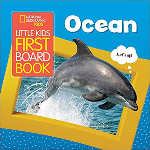 ocean board book