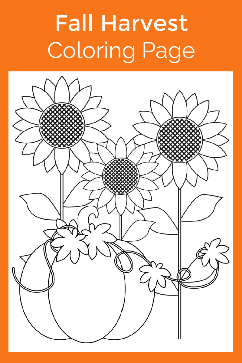 Pumpkin Harvest Coloring Page with sunflowers