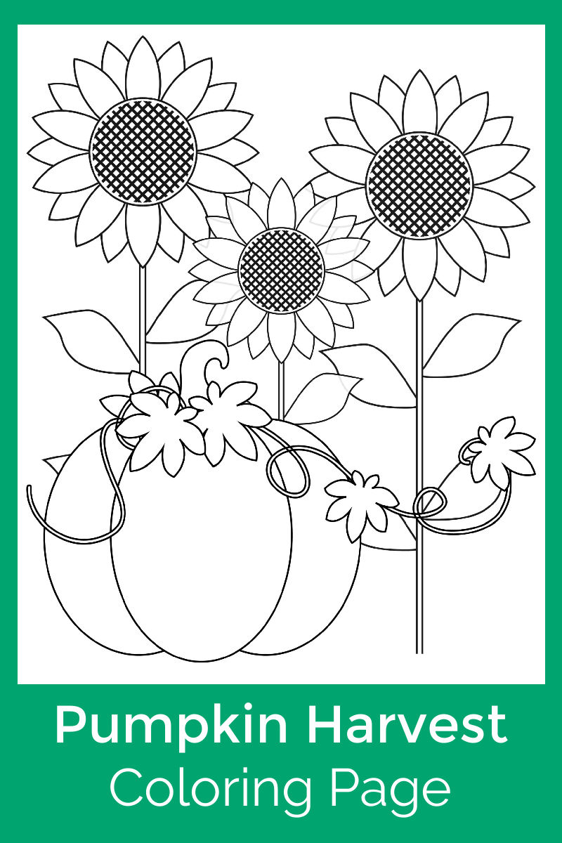 Pumpkin Harvest Coloring Page with sunflowers