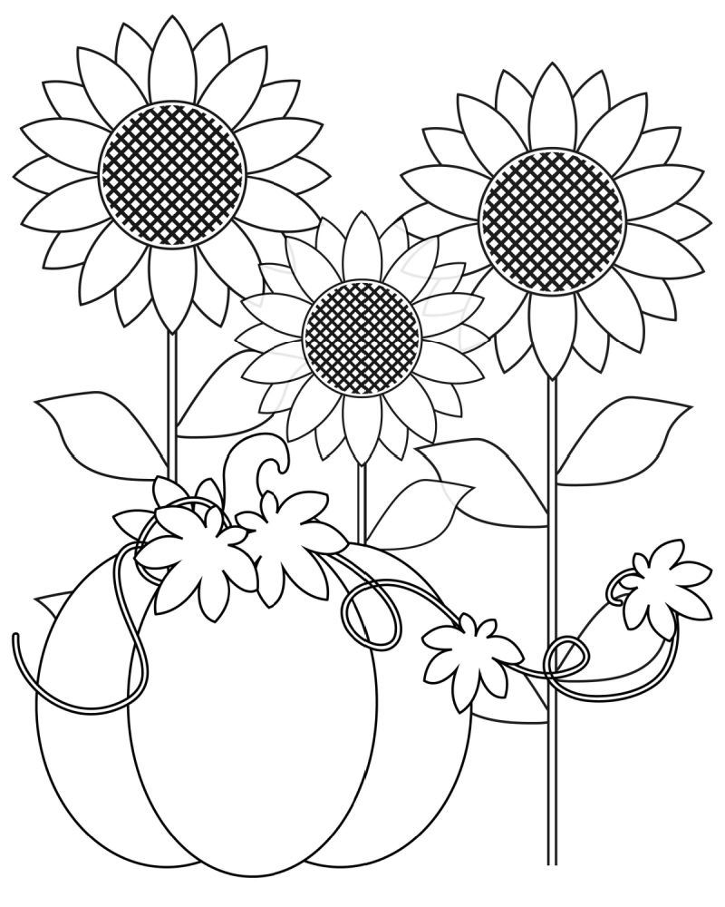 Pumpkin Harvest Coloring Page - Mama Likes This