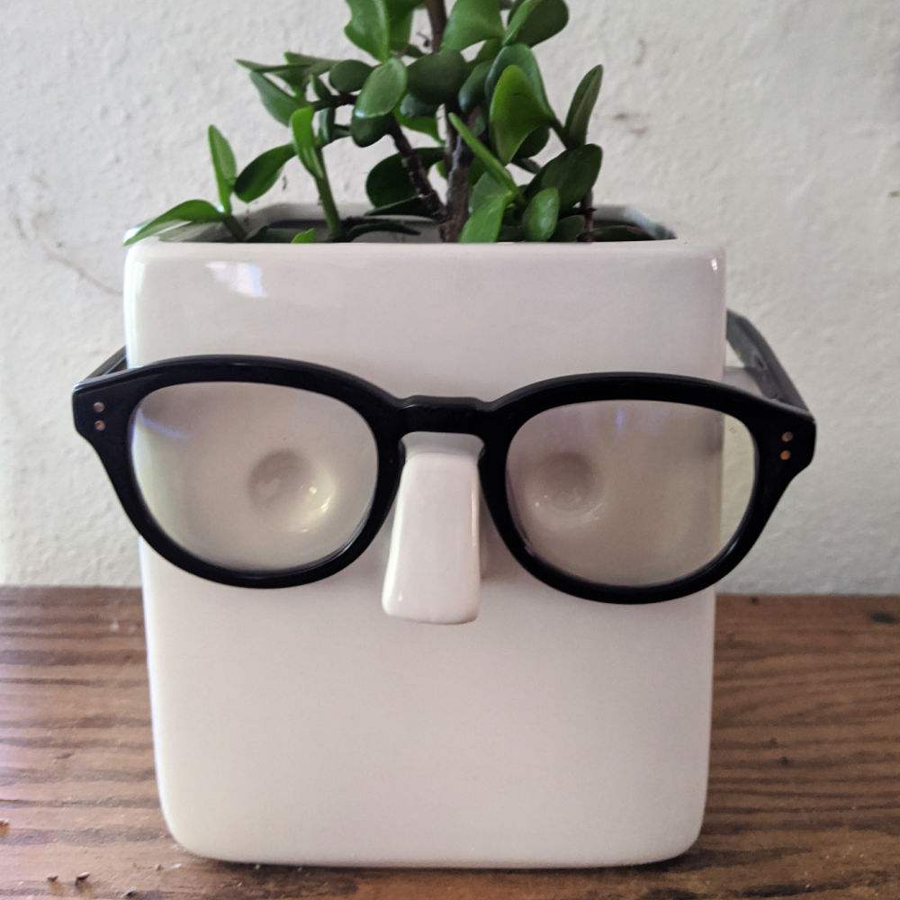 Face Plant Planter + Eyeglass Holder