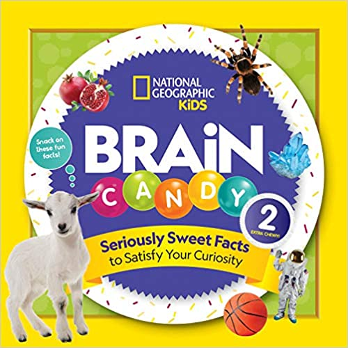 book - brain candy 2