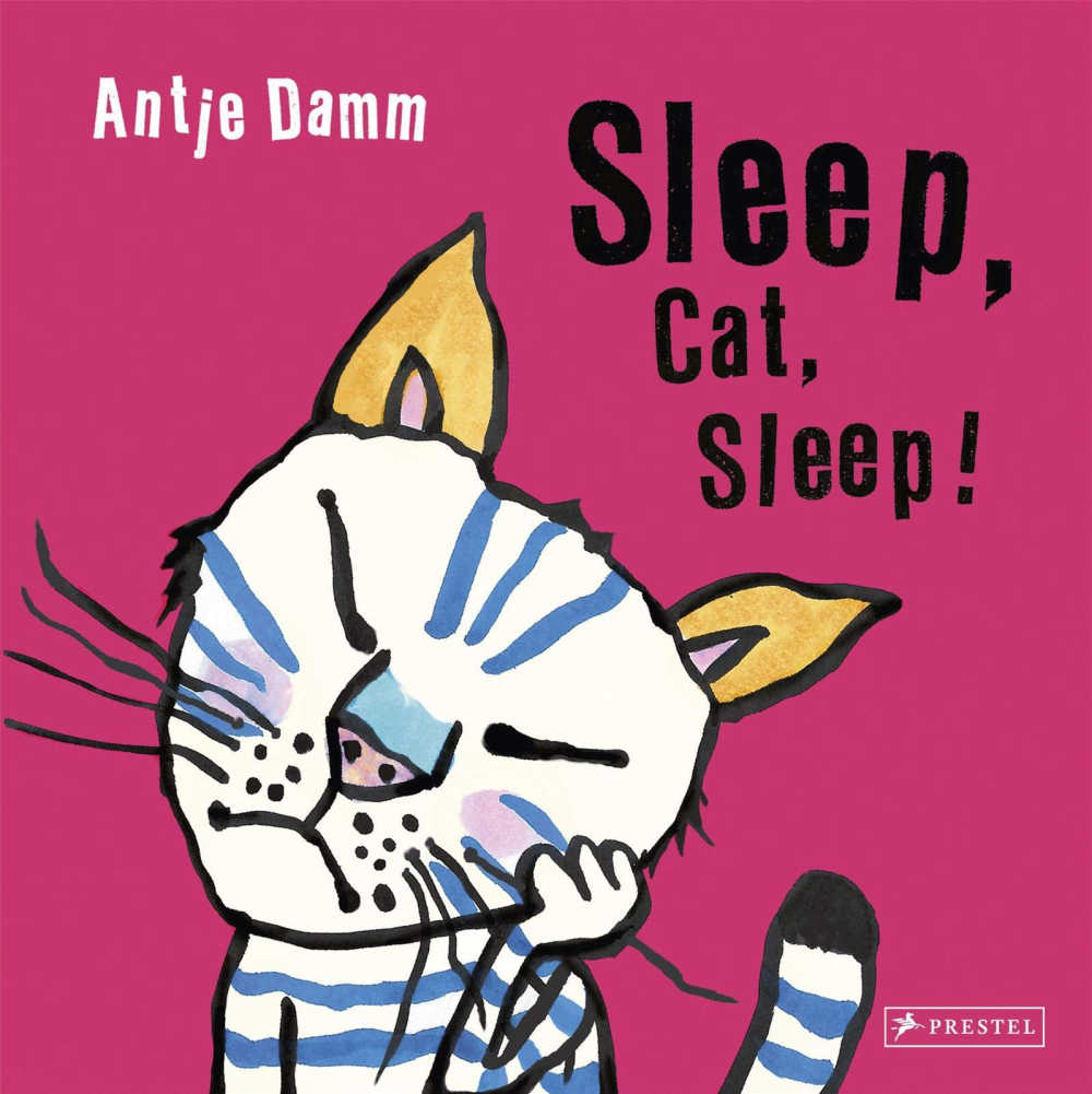 childrens book - sleep cat sleep.