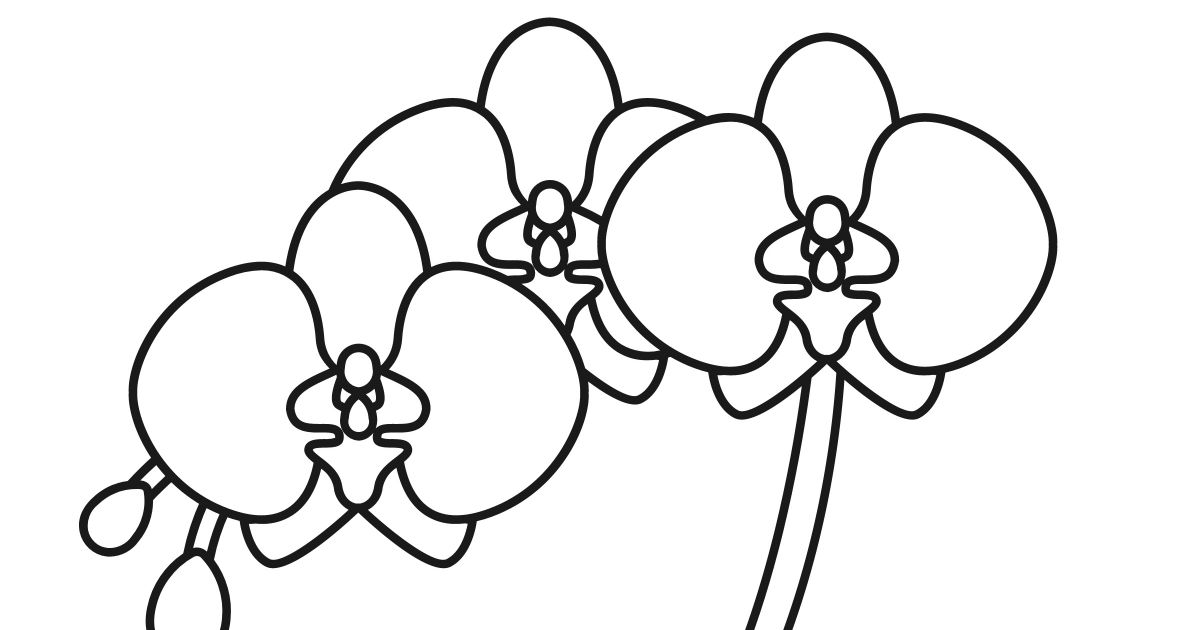 free-printable-orchid-coloring-page-mama-likes-this