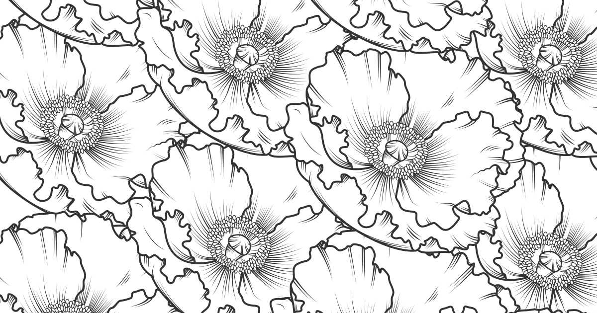 feature poppy coloring page