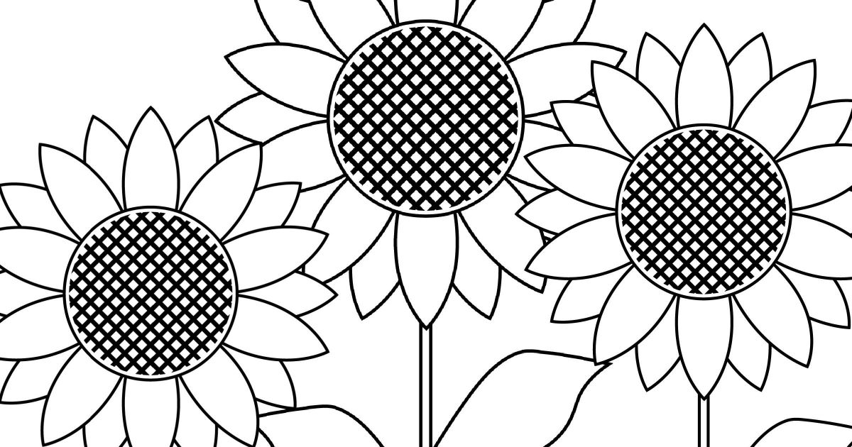 feature sunflower garden coloring page