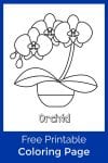 Free Printable Orchid Coloring Page - Mama Likes This