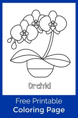 Free Printable Orchid Coloring Page - Mama Likes This