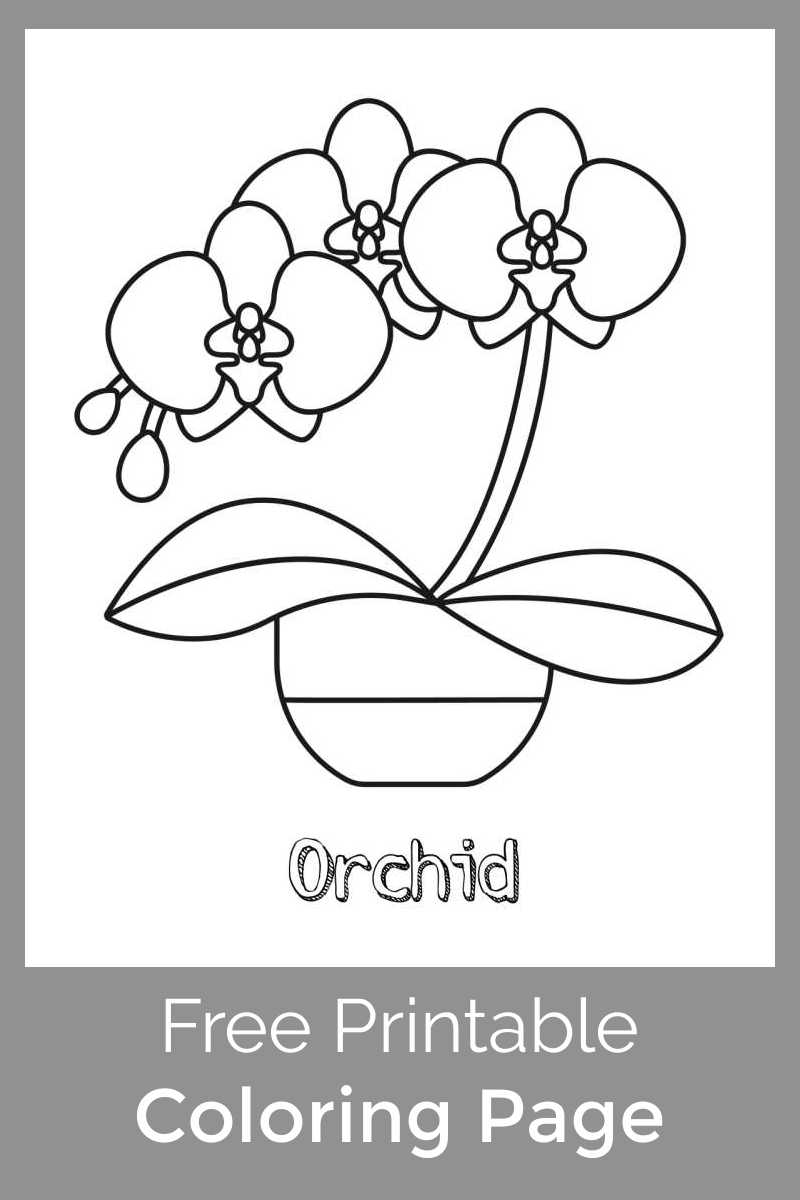 Growing beautiful orchids takes skill, but this pretty printable orchid coloring page is an  easy way for kids to make their own flower decor.