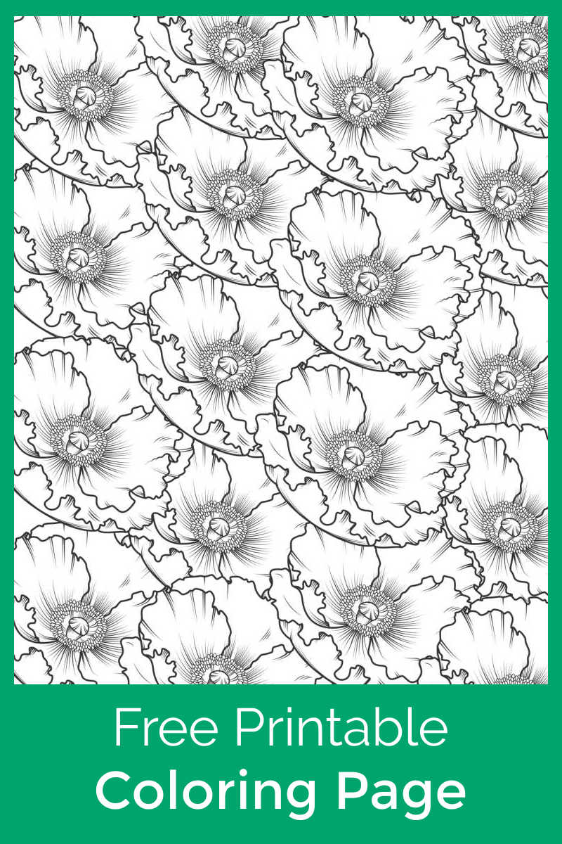 Adults or kids can make a beautiful super bloom picture, when you download this free printable poppy coloring page.