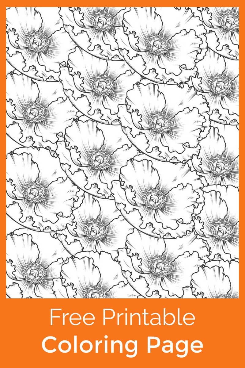 Adults or kids can make a beautiful super bloom picture, when you download this free printable poppy coloring page.