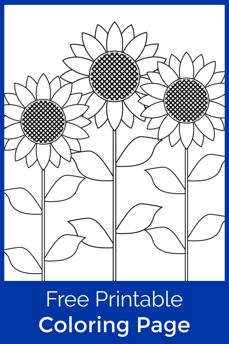 pin sunflower garden coloring page