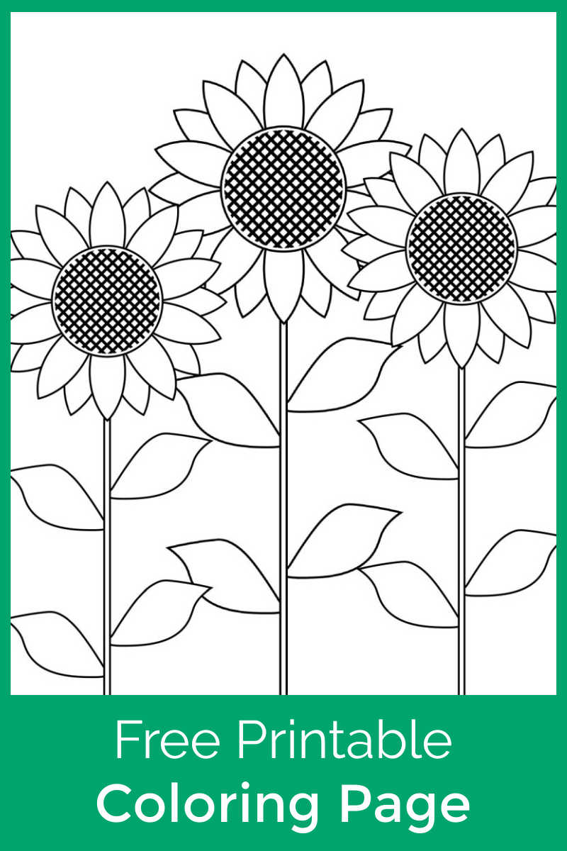 Download this free printable sunflower garden coloring page, so that your child can color this pretty Summer picture.