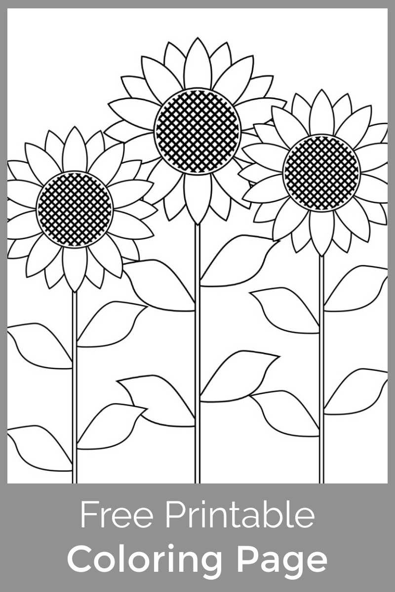 printable garden coloring pages