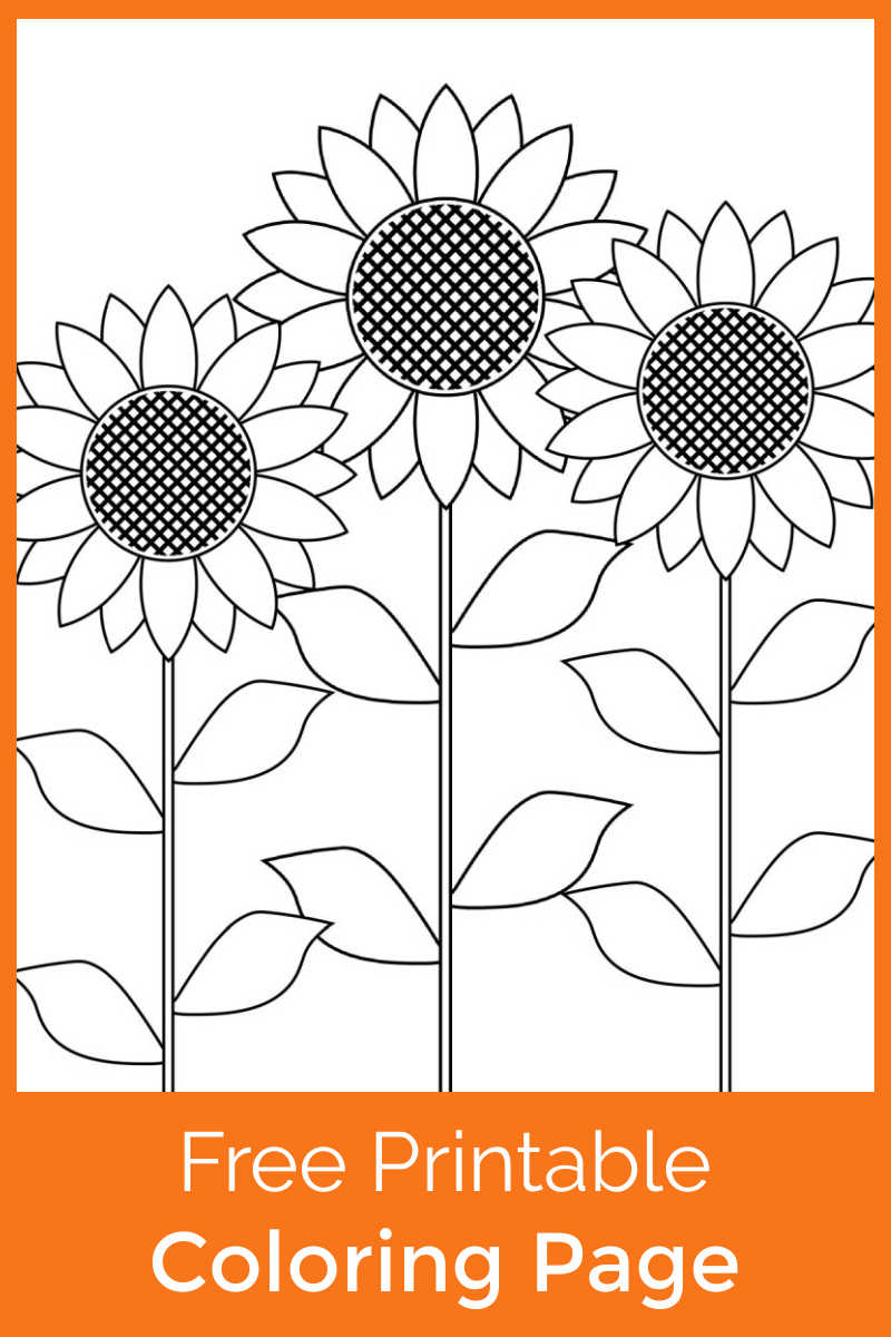 Download this free printable sunflower garden coloring page, so that your child can color this pretty Summer picture.