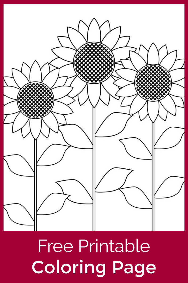 Download this free printable sunflower garden coloring page, so that your child can color this pretty Summer picture.