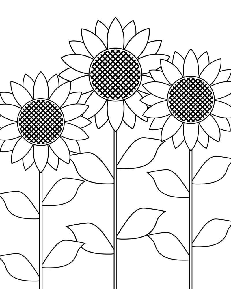 daisy flower garden coloring page