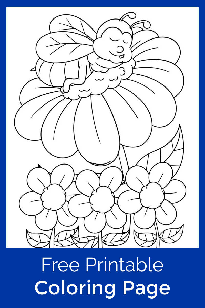 Honey Bee Napping on a Flower Coloring Page - Mama Likes This