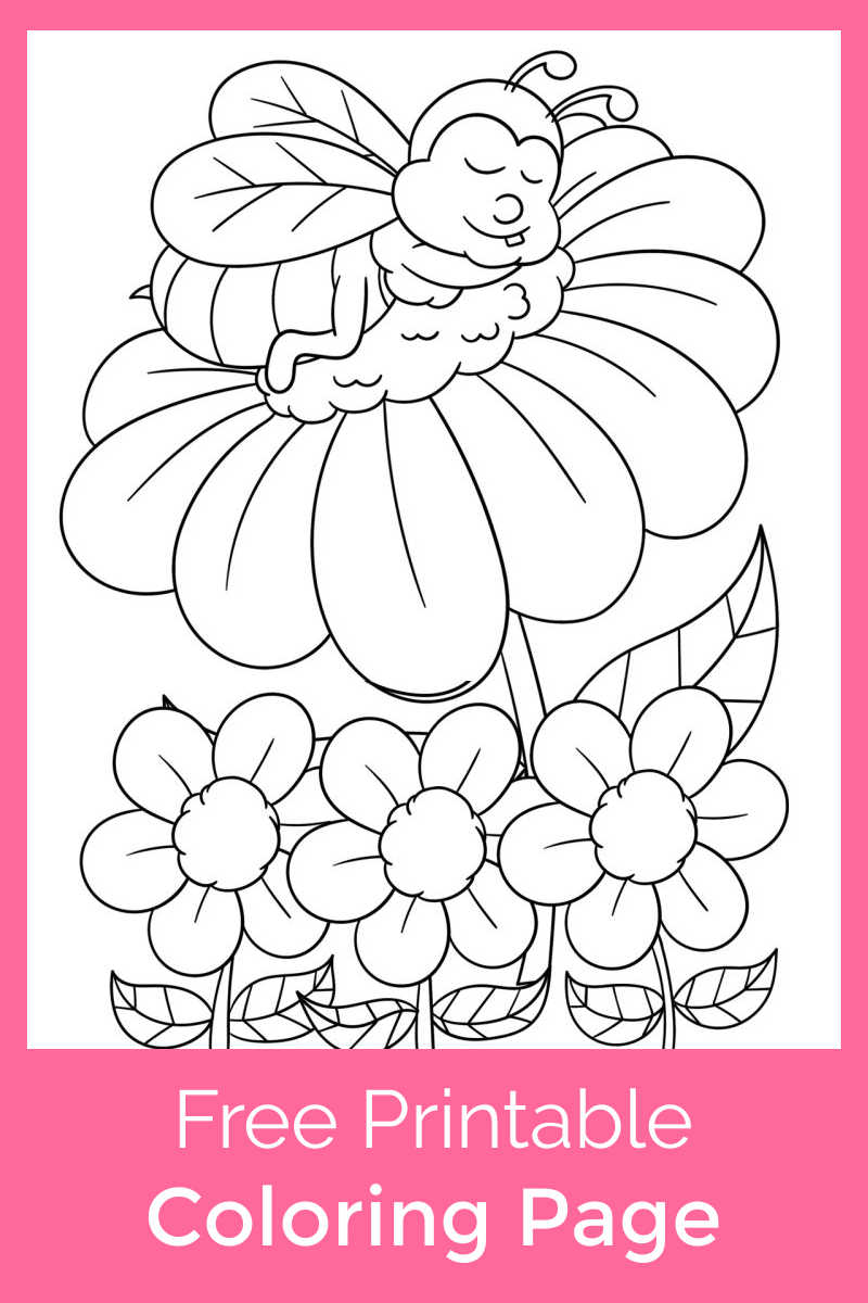 Honey Bee Napping on a Flower Coloring Page   Mama Likes This