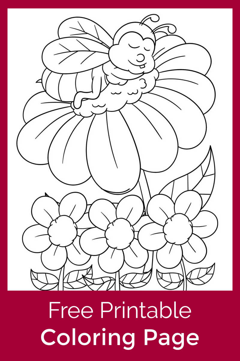 Honey Bee Napping On A Flower Coloring Page Mama Likes This