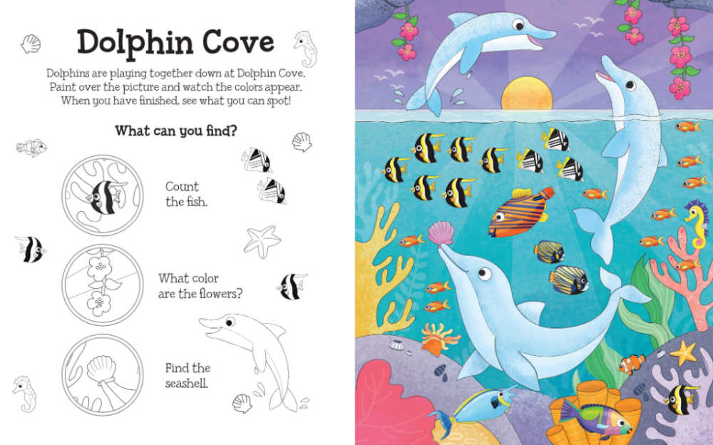 dolphin cave magical water painting book.