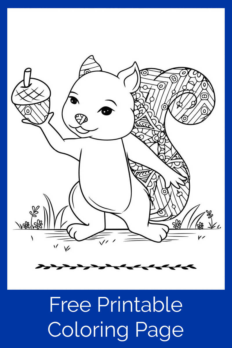 Download this free printable squirrel with an acorn coloring page, so you can enjoy this cutie who is giving the gift of an acorn. 