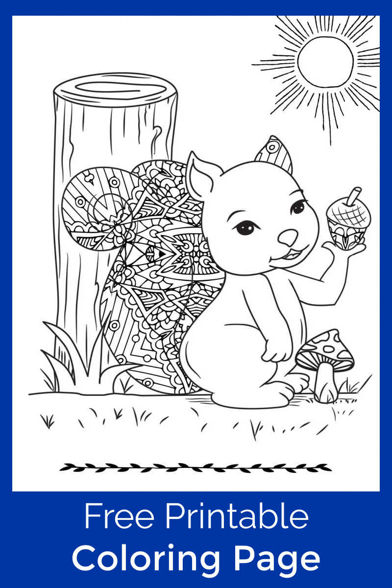 You or your child can color this cute squirrel with mushroom coloring page, when you download the pdf for free. 