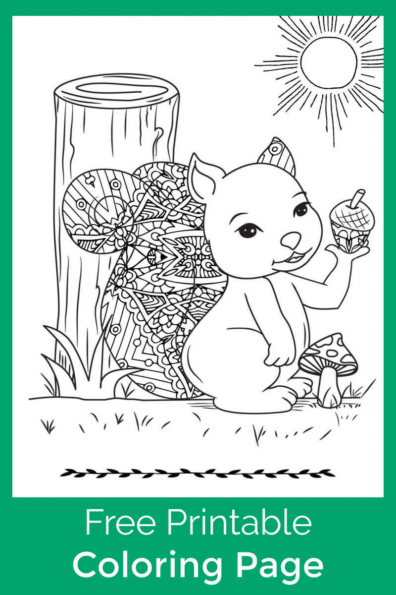 You or your child can color this cute squirrel with mushroom coloring page, when you download the pdf for free. 