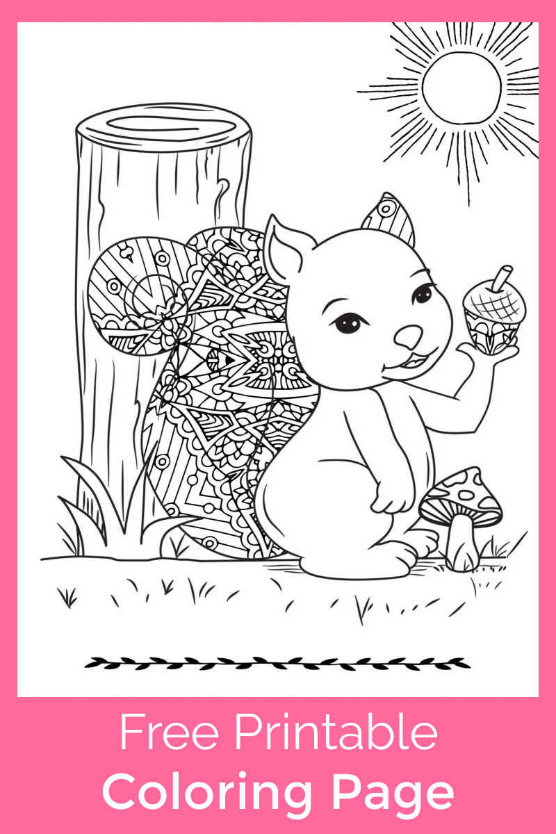 You or your child can color this cute squirrel with mushroom coloring page, when you download the pdf for free. 