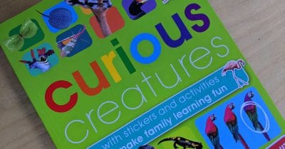 childrens curious creatures activity book.